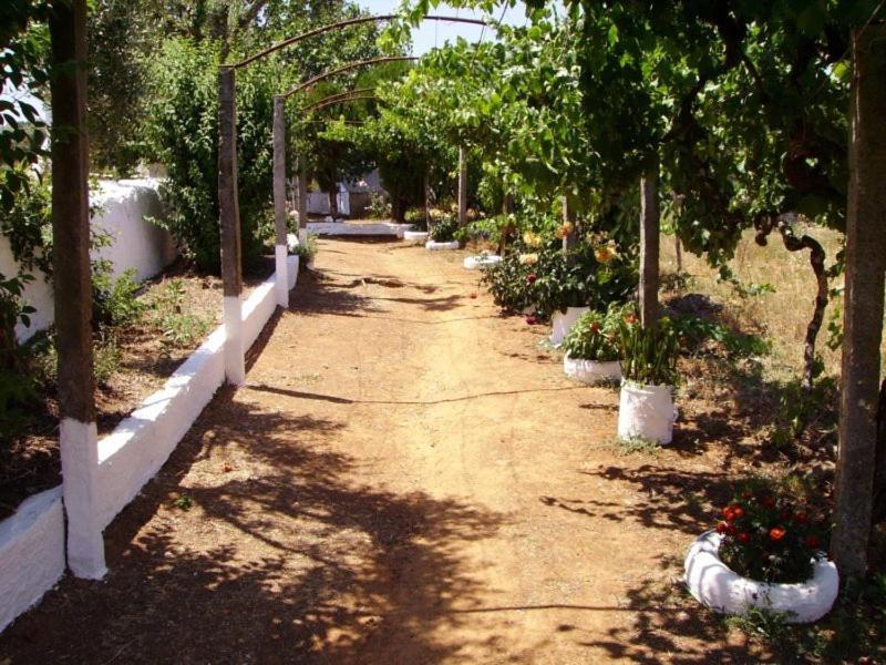 Turimenha Guest House Marvao  Exterior photo