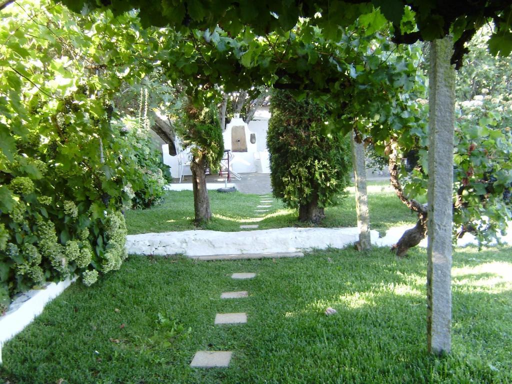 Turimenha Guest House Marvao  Exterior photo